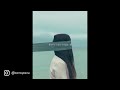 FREE/ Sto x Wallace Cleaver x Jersey Drill TYPE BEAT - Dans son regard
