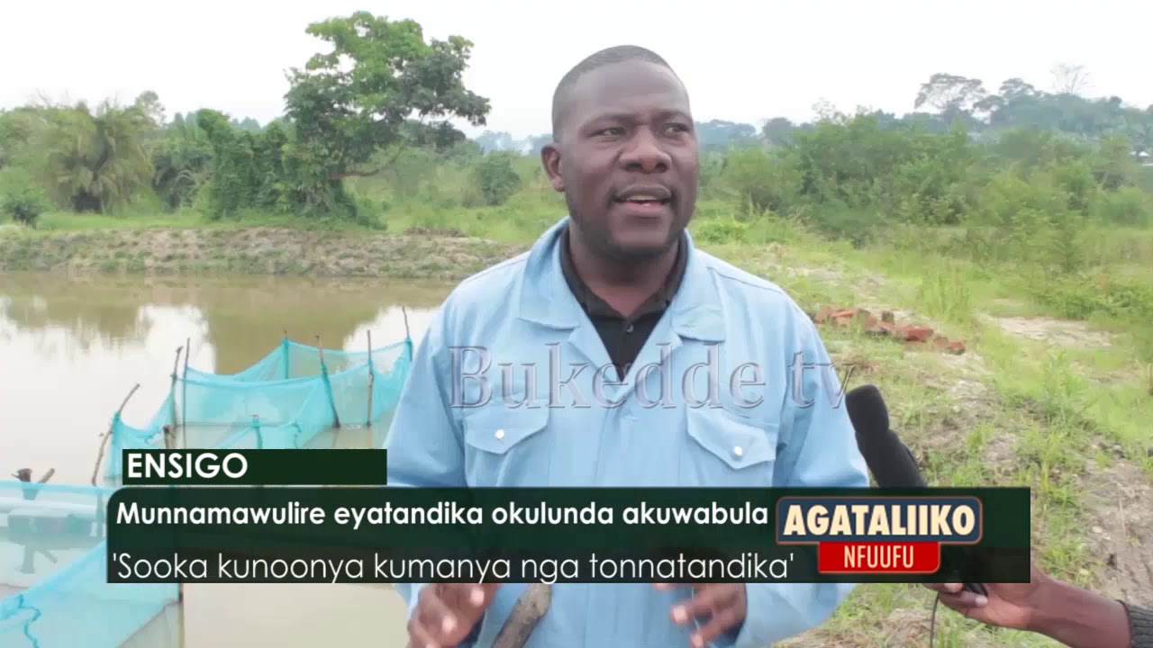 Munnamawulire eyatandika okulunda akuwabula