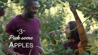 Top 5 Things in Blue Ridge (Fall Edition)