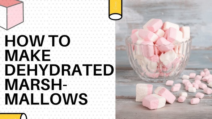 Dehydrating Marshmallows and Make Marshmallow Powder - Food