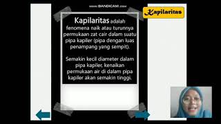 Pembelajaran kohesi, adesi Dan Kapilatitas