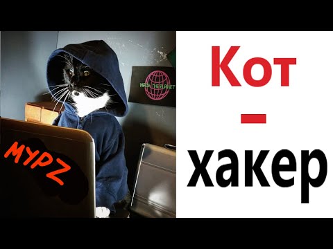 Лютые приколы! КОТ - ХАКЕР!!! Самое смешное видео! Засмеялся проиграл! – Domi Show!