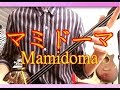 マミドーマ、沖縄民謡 三線cover (本調子/工工四付き)、伊禮俊一  / "Mamidoma" Okinawa Sanshin Music