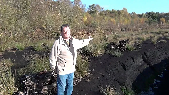 Lindow Moss