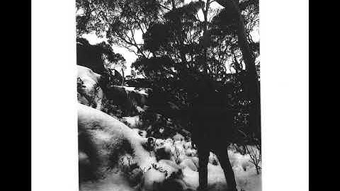 Leather Temple - The Blurred Lines Between Sex And Death