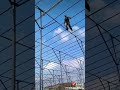 حـكـايـة تـبـدأ وأخـرى تـنـتـهـي ولا شـيء يـدوم والأيام تـمـضـي حـكـايـة تـبـدأ وأخـرى تـنـتـهـي ولا شـيء يـدوم والأيام تـمـضـي