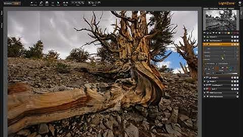 The LightZone Tool Menu