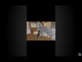 epic level editing ff onetap