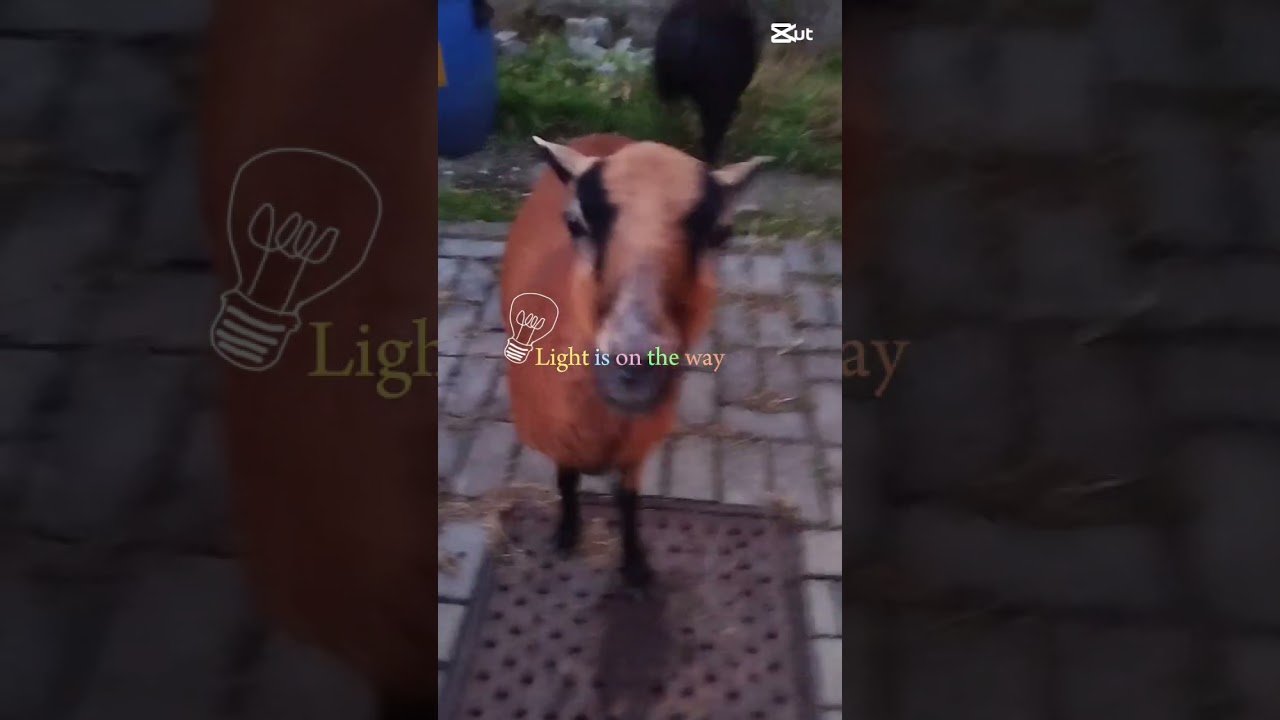 a normal day in the village