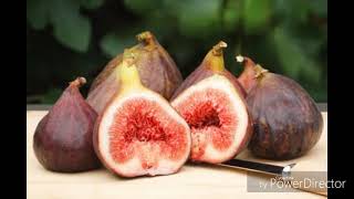 Ibn Sino anjirdan qanday foydalangan HD