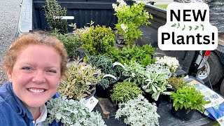 Massive Plant Haul! 🌱 Planting and Mulching for a Beautiful Landscape 🌿