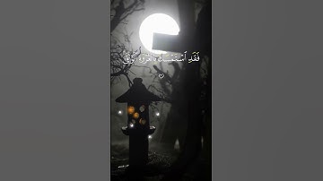 القارئ عمرو علي سلطان صالح  | قرآن كريم بصوت جميل