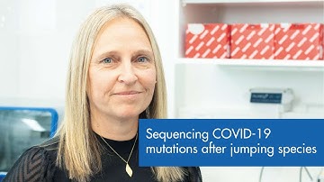 Sequencing COVID-19 mutations after jumping species