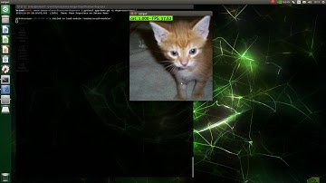 Jetson Nano - Image Classification with Dogs-vs-Cats - TensorRT - ResNet18