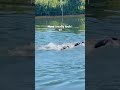 Well I need to stop sighting #swimming #openwater #triathlon