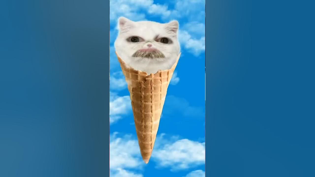 Meow meow meow