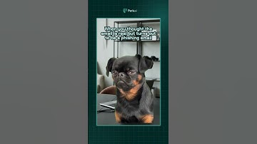 That sinking feeling when you realize the 