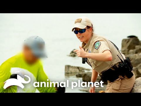 Man Is Caught Fishing ILLEGALLY! | Lone Star Law | Animal Planet