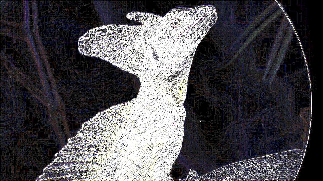 Tricky basilisk explained (sharpness based segmentation)