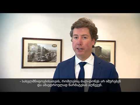 საქართველომ შესაძლოა, MSC-ის სხვადასხვა ღონისძიებას უმასპინძლოს