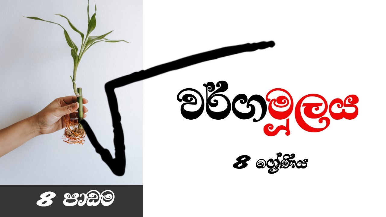 8 ශ්‍රේණිය - 8 පාඩම || වර්ගමූලය