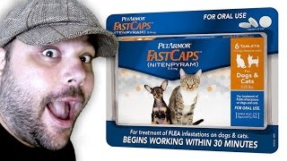 PetArmor FastCaps  (Best) Flea Pills for Cats Review