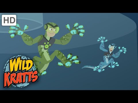 Wild Kratts | Birds of a Feather | Full Episode | Season 1
