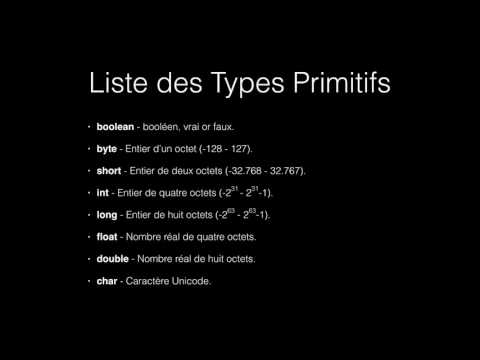 Programmation Java - Les Types Primitifs
