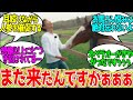 和田竜二 ← 人参持ってないオペラオーに用はねぇ！に対するみんなの反応！【競馬 の反応集】