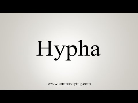 How To Say Hypha