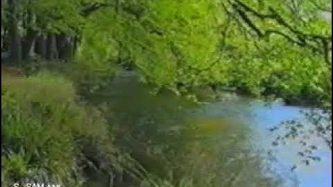 الشيخ عبدالله بن حمد الموسى ، إمام جامع الشيخ صالح العبداللطيف ، حي العارض  ، آيات من سورة الأنعام .