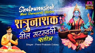 शत्रुनाशक नील सरस्वती स्तोत्र - Neel Saraswati Stotra - Prem Prakesh Dubey - Spiritual Activity