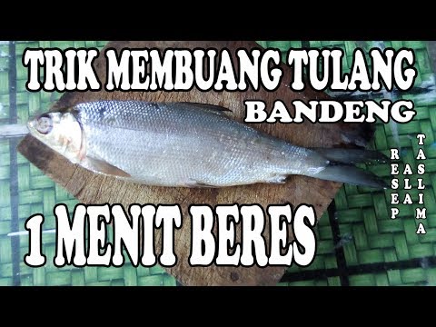 Video: Bagaimana cara memanaskan kembali irisan daging ham tanpa tulang?