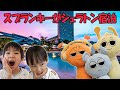 スプランキーがシェラトン宿泊!?パパの誕生日に何が起きたのか…