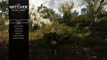 GTX 1080 TI texture problems