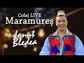 Ionuț Bledea & Master Music - Colaj Maramureș (live)