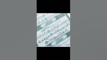 سورة الاخلاص #اكسبلور