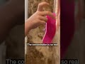 Playing in the shower