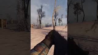 Flicking to Mutants in Stalker Gamma #shorts #stalker2 #stalker #anomaly #stalkeranomaly