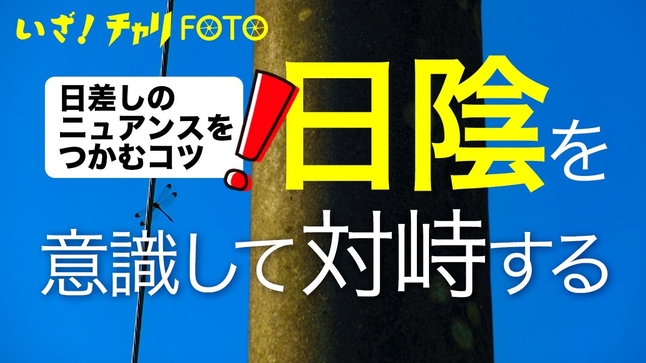 【撮影テクニック】日陰を見て光の意味を理解する...なかなかの深掘り - YouTube
