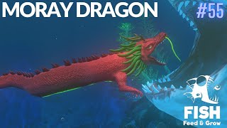 Feed And Grow Fish : Moray Dragon