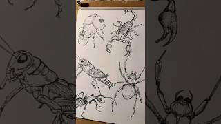 Some Recent Drawings art drawing sketch artist illustration fyp trending viral draw