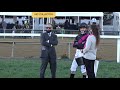 Preakness 145 pre and post race video10 3 2020