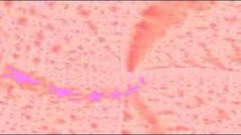 سورة النساء بصوت الشيخ القارئ سعود الشريم