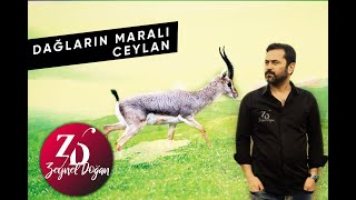 ZEYNEL DOĞAN - DAĞLARIN MARALI CEYLAN OFFİCİAL MUSİC VİDEO Resimi