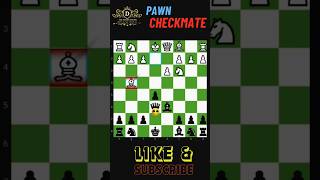 Pawn Delivers the Final Blow ♟️👑 #edm #chessshorts #chessgame #defense #checkmate #chesswatch