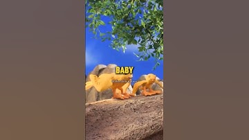 This Is Actually WILD - Robot Chicken Short Edit