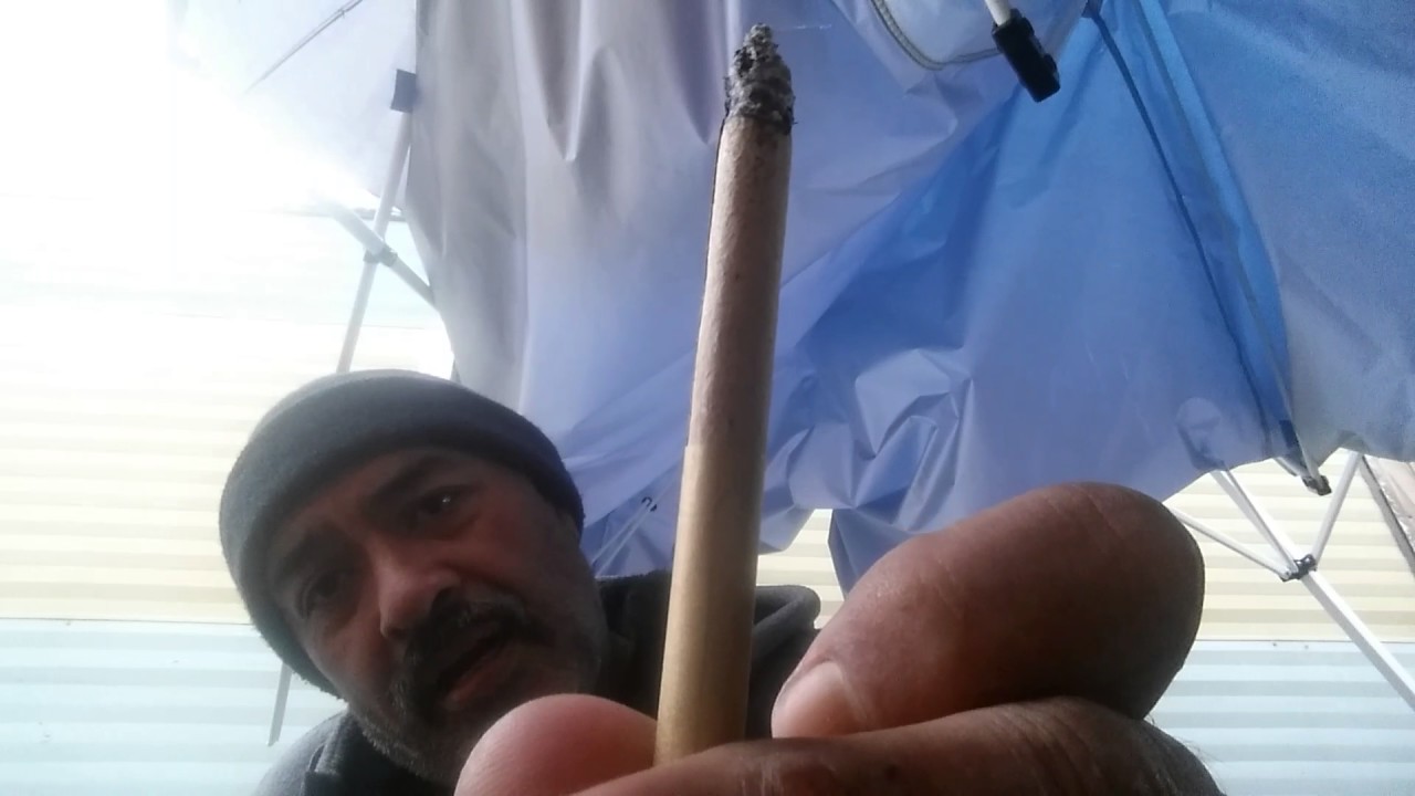 Smokers choice sweets cigars grape