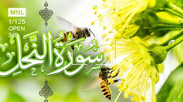 "سورة النحل | تلاوة تريح القلب وتبعث السكينة"