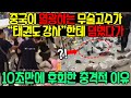 중국이 열광하는 무술고수가 한국 태권도에 도전했다가 10초만에 후회한 이유